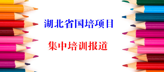 湖北省国培项目集中培训报道